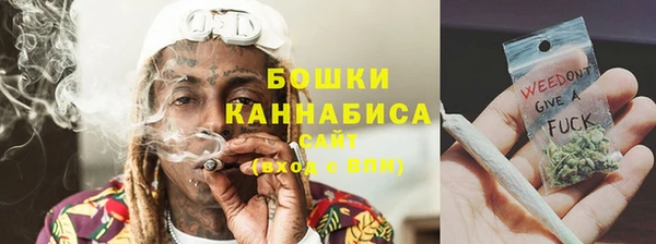прущие грибы Вязьма