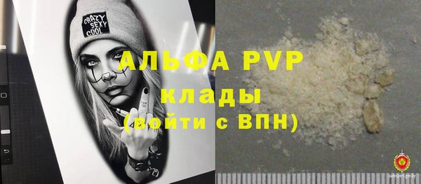 прущие грибы Вязьма