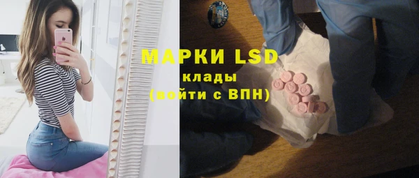 прущие грибы Вязьма