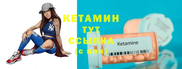 прущие грибы Вязьма