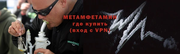 прущие грибы Вязьма