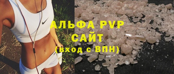 прущие грибы Вязьма