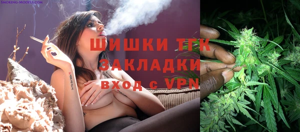 прущие грибы Вязьма