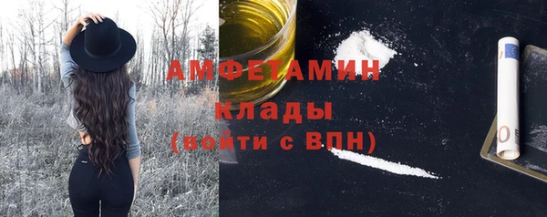 прущие грибы Вязьма