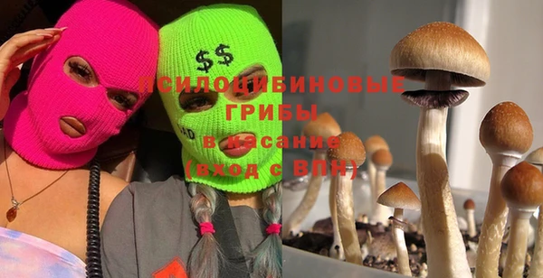 прущие грибы Вязьма
