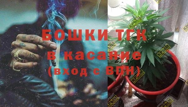 прущие грибы Вязьма