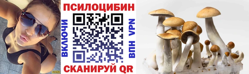 Псилоцибиновые грибы Psilocybe  Купить где  Константиновск 